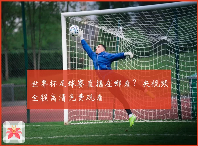 世界杯足球赛直播在哪看?央视频全程高清免费观看